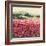 Le Jardin Rouge, Provence-Hazel Barker-Framed Art Print