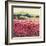 Le Jardin Rouge, Provence-Hazel Barker-Framed Premium Giclee Print