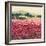 Le Jardin Rouge, Provence-Hazel Barker-Framed Premium Giclee Print