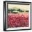 Le Jardin Rouge, Provence-Hazel Barker-Framed Premium Giclee Print