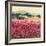 Le Jardin Rouge, Provence-Hazel Barker-Framed Premium Giclee Print