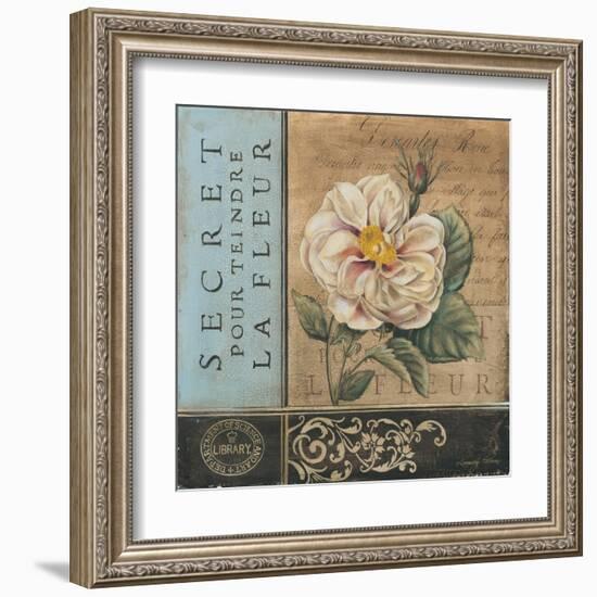 Le Jardin Secret I-Kimberly Poloson-Framed Art Print