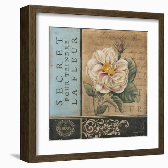 Le Jardin Secret I-Kimberly Poloson-Framed Art Print