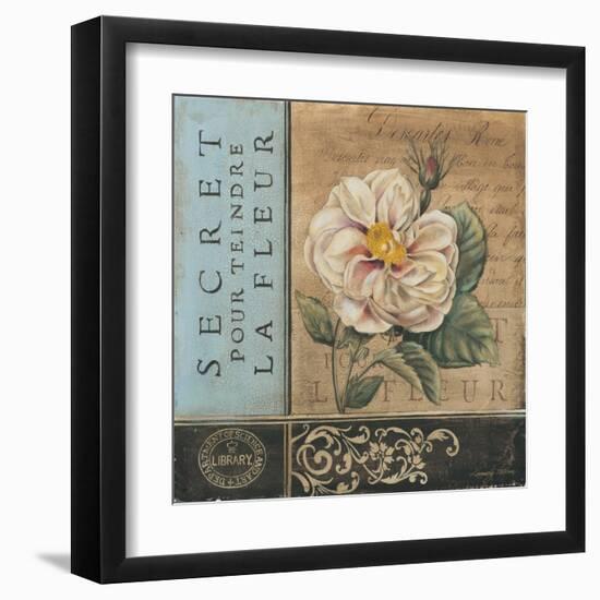 Le Jardin Secret I-Kimberly Poloson-Framed Art Print