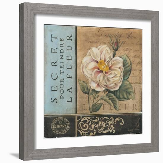 Le Jardin Secret I-Kimberly Poloson-Framed Art Print