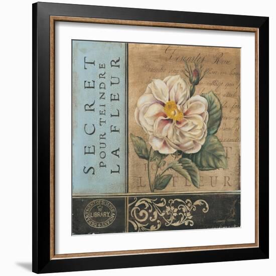 Le Jardin Secret I-Kimberly Poloson-Framed Art Print