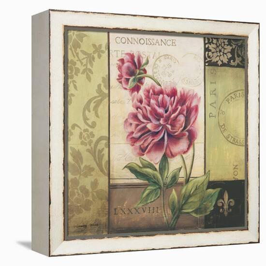 Le Jardin Secret II-Kimberly Poloson-Framed Stretched Canvas