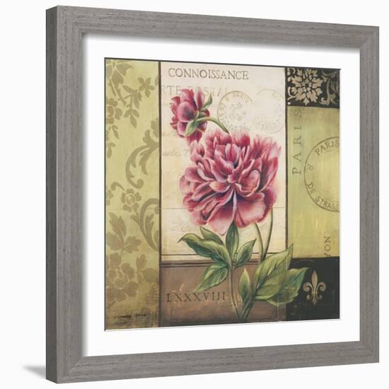 Le Jardin Secret II-Kimberly Poloson-Framed Art Print