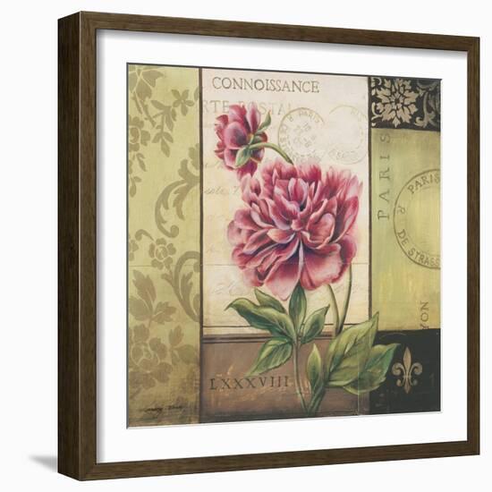 Le Jardin Secret II-Kimberly Poloson-Framed Art Print