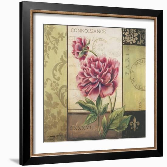 Le Jardin Secret II-Kimberly Poloson-Framed Art Print