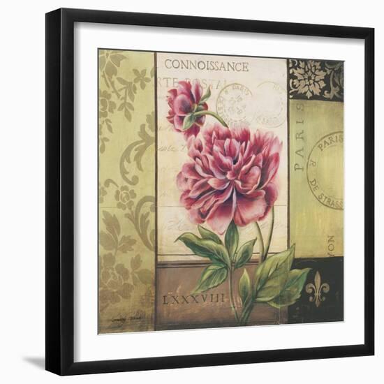 Le Jardin Secret II-Kimberly Poloson-Framed Art Print