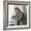 Le Joueur De Cartes (The Cardplayer)-Paul Cézanne-Framed Giclee Print