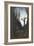 Le Juif-Errant-Gustave Moreau-Framed Giclee Print