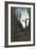 Le Juif-Errant-Gustave Moreau-Framed Giclee Print