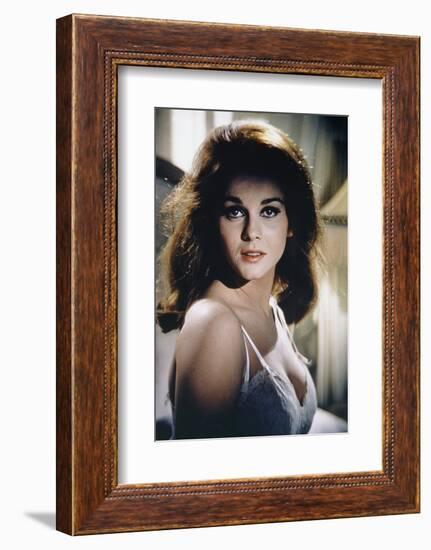 Le kid by Cincinnati THE CINCINNATI KID by NormanJewison with Ann-Margret, 1965 (photo)-null-Framed Photo