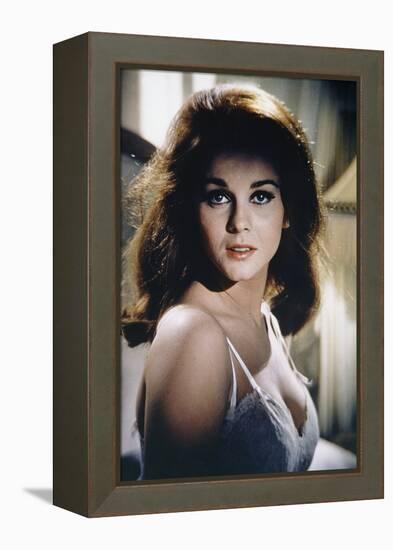 Le kid by Cincinnati THE CINCINNATI KID by NormanJewison with Ann-Margret, 1965 (photo)-null-Framed Stretched Canvas