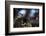 Le lien-Fabien BRAVIN-Framed Photographic Print