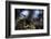 Le lien-Fabien BRAVIN-Framed Photographic Print