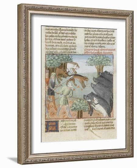 Le Livre de la chasse de Gaston Phébus : chasse aux sangliers-null-Framed Giclee Print