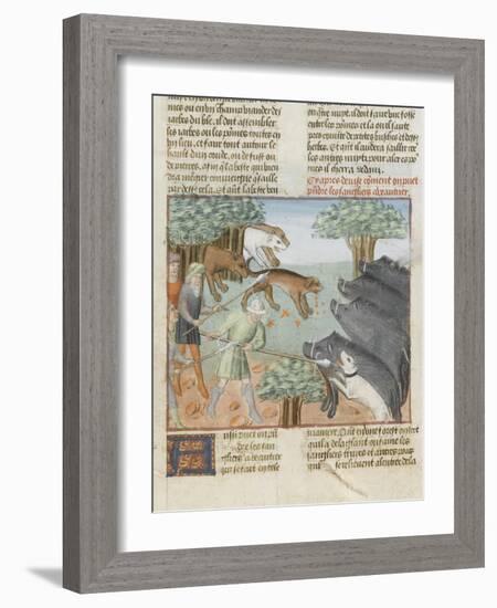 Le Livre de la chasse de Gaston Phébus : chasse aux sangliers-null-Framed Giclee Print