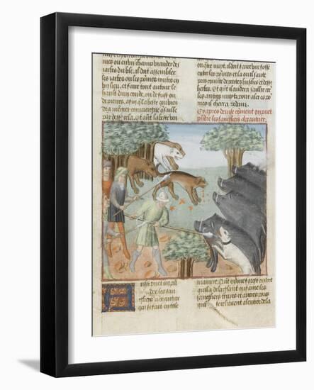 Le Livre de la chasse de Gaston Phébus : chasse aux sangliers-null-Framed Giclee Print