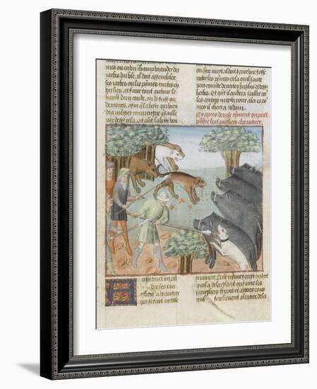 Le Livre de la chasse de Gaston Phébus : chasse aux sangliers-null-Framed Giclee Print