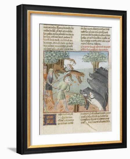 Le Livre de la chasse de Gaston Phébus : chasse aux sangliers-null-Framed Giclee Print