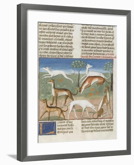 Le Livre de la chasse de Gaston Phébus : le lévrier-null-Framed Giclee Print