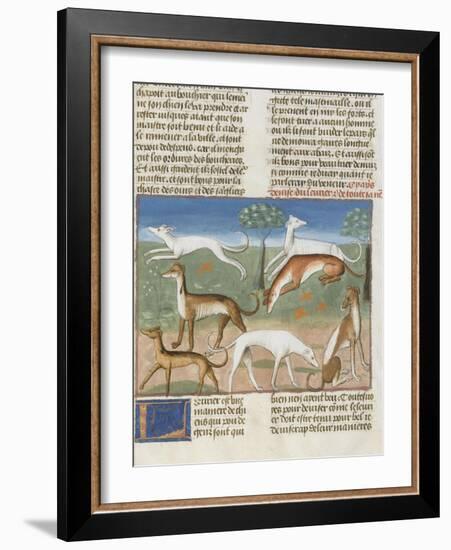 Le Livre de la chasse de Gaston Phébus : le lévrier-null-Framed Giclee Print