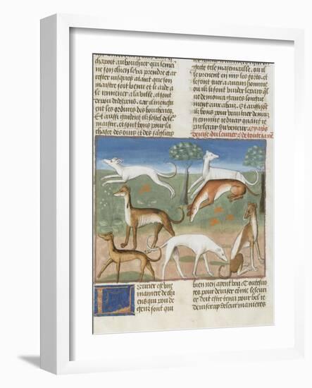 Le Livre de la chasse de Gaston Phébus : le lévrier-null-Framed Giclee Print