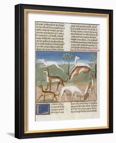 Le Livre de la chasse de Gaston Phébus : le lévrier-null-Framed Giclee Print