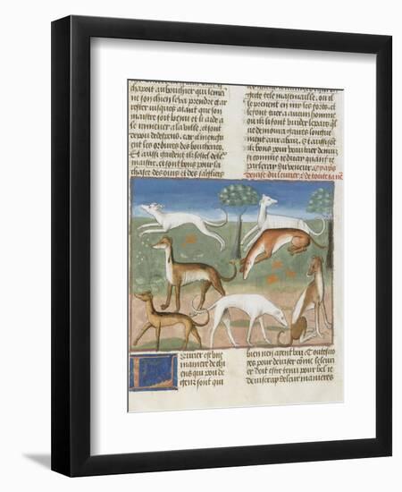 Le Livre de la chasse de Gaston Phébus : le lévrier-null-Framed Giclee Print