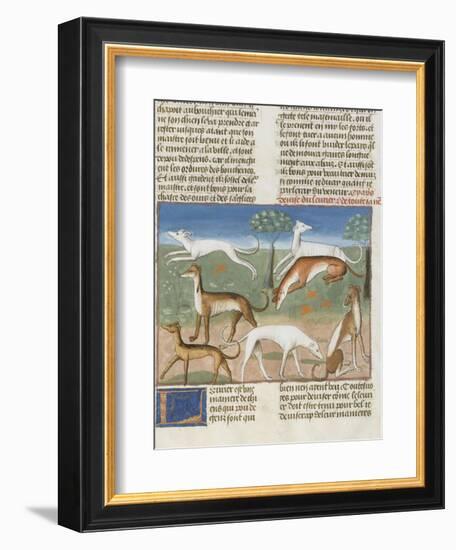 Le Livre de la chasse de Gaston Phébus : le lévrier-null-Framed Giclee Print