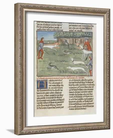 Le Livre de la chasse de Gaston Phébus : les lévriers coursent les lièvres-null-Framed Giclee Print