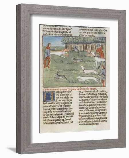 Le Livre de la chasse de Gaston Phébus : les lévriers coursent les lièvres-null-Framed Giclee Print