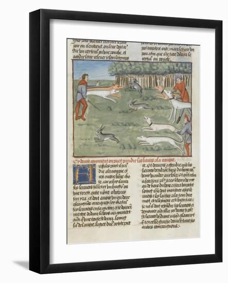 Le Livre de la chasse de Gaston Phébus : les lévriers coursent les lièvres-null-Framed Giclee Print