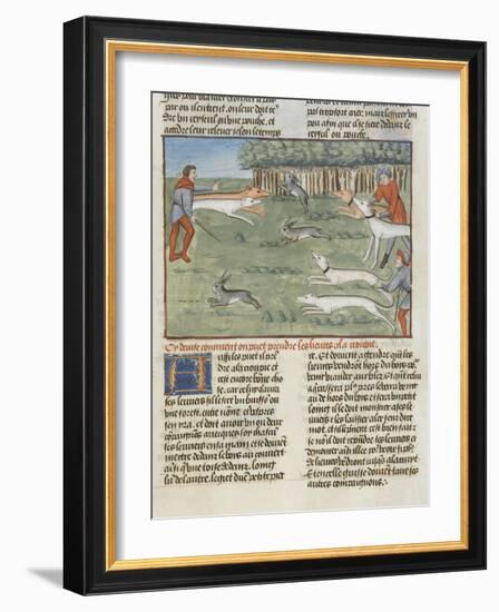 Le Livre de la chasse de Gaston Phébus : les lévriers coursent les lièvres-null-Framed Giclee Print