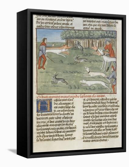 Le Livre de la chasse de Gaston Phébus : les lévriers coursent les lièvres-null-Framed Premier Image Canvas