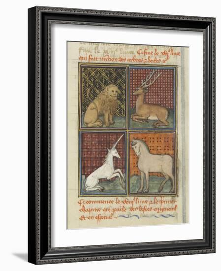 Le Livre des propriétés des choses (De proprietatibus rerum)-null-Framed Giclee Print