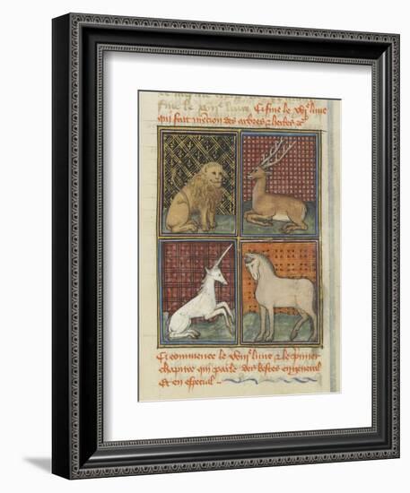 Le Livre des propriétés des choses (De proprietatibus rerum)-null-Framed Giclee Print