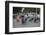 Le Loi Boulevard, Ho Chi Minh City (Saigon), Vietnam, Indochina, Southeast Asia, Asia-Wendy Connett-Framed Photographic Print