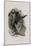 Le Lutrin, Ch III-Emile Antoine Bayard-Mounted Giclee Print