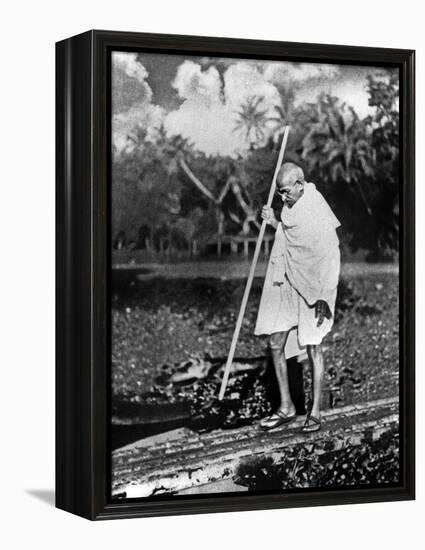 Le Mahatma Mohandas Karamchand Gandhi (1869-1948) During Salt March in 1930-null-Framed Stretched Canvas