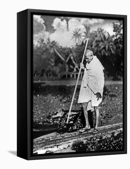 Le Mahatma Mohandas Karamchand Gandhi (1869-1948) During Salt March in 1930-null-Framed Stretched Canvas