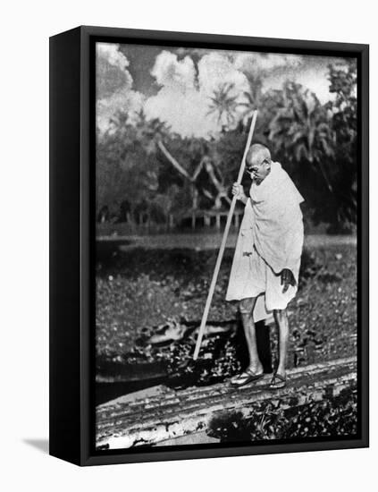 Le Mahatma Mohandas Karamchand Gandhi (1869-1948) During Salt March in 1930-null-Framed Stretched Canvas