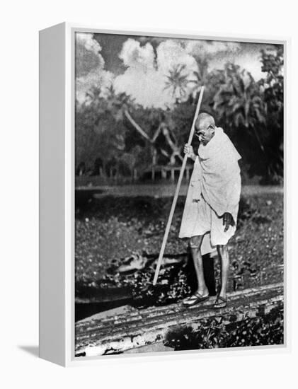 Le Mahatma Mohandas Karamchand Gandhi (1869-1948) During Salt March in 1930-null-Framed Stretched Canvas