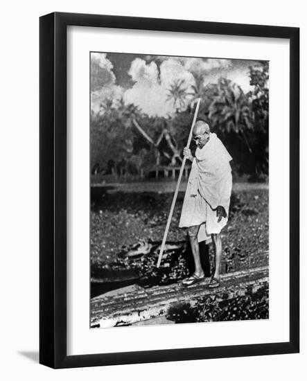 Photo, , large