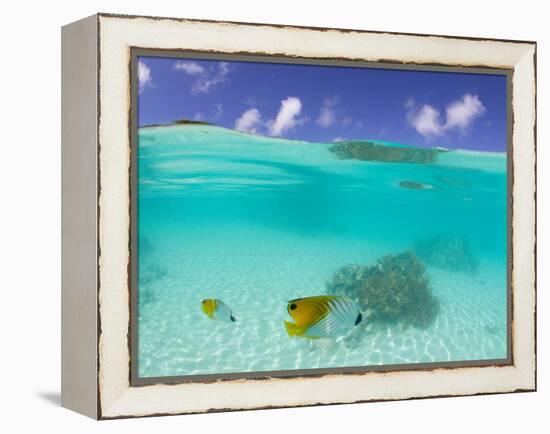 Le Maitai Dream Fakarava Resort, Fakarava, Tuamotus, French Polynesia-Michele Westmorland-Framed Premier Image Canvas