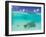 Le Maitai Dream Fakarava Resort, Fakarava, Tuamotus, French Polynesia-Michele Westmorland-Framed Photographic Print