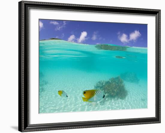 Le Maitai Dream Fakarava Resort, Fakarava, Tuamotus, French Polynesia-Michele Westmorland-Framed Photographic Print